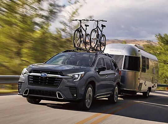 2025 Ascent