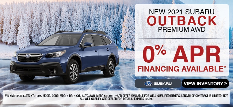 RRS-229 January Specials Banners (1-2021)5.jpg