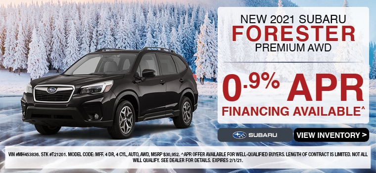 Forester Special