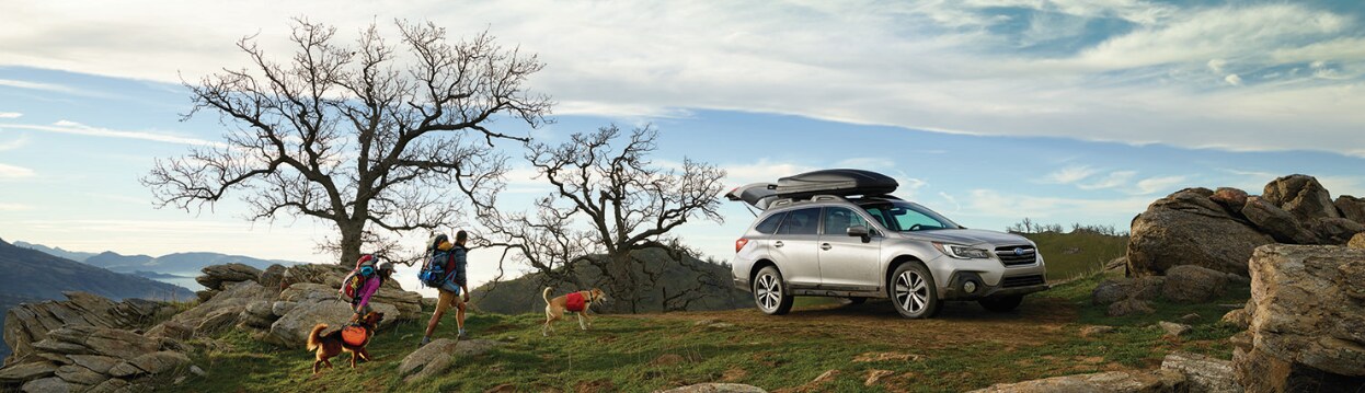 2019 Subaru Outback 2019 Subaru Outback