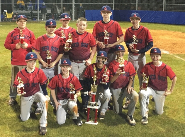 LittleLeagueTeam