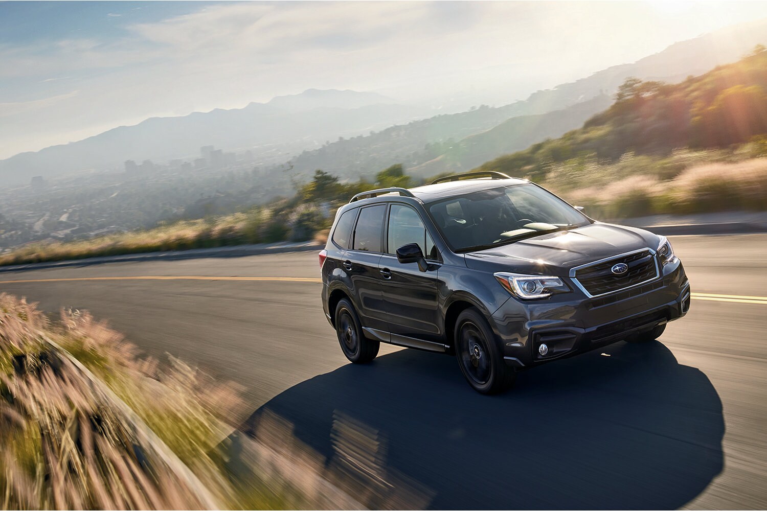 Forester1.jpg