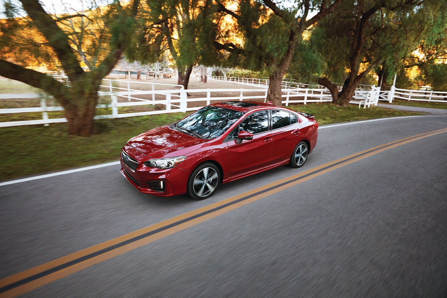 Impreza2.jpg
