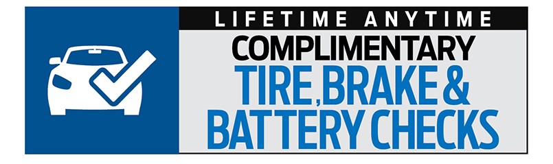 Tire, Brake & Battery Checks