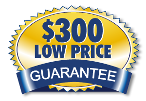 $300 Low Price Guarantee at Rochester Ford