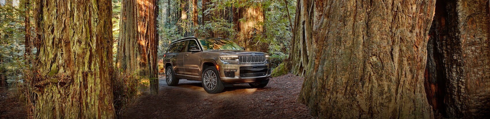 Jeep Grand Cherokee L Registration