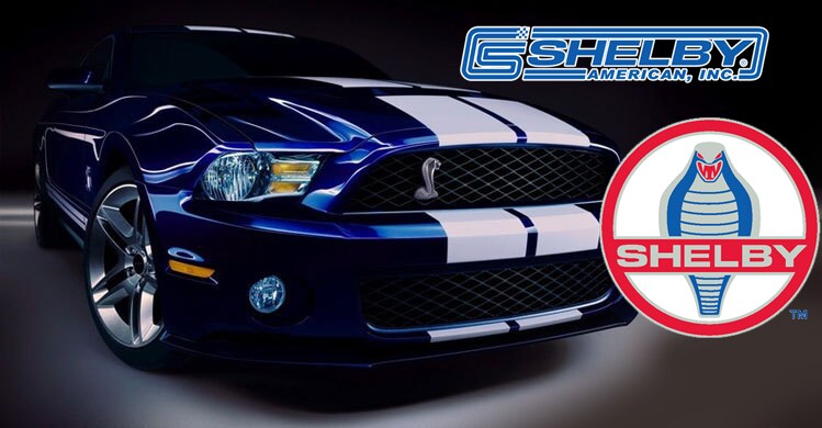 shelbytop.png