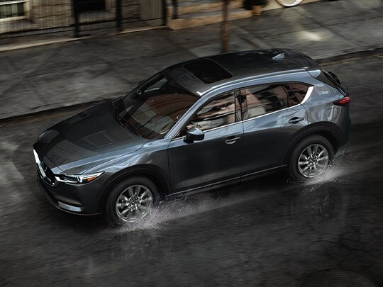 gmb-cx5 (2).jpg