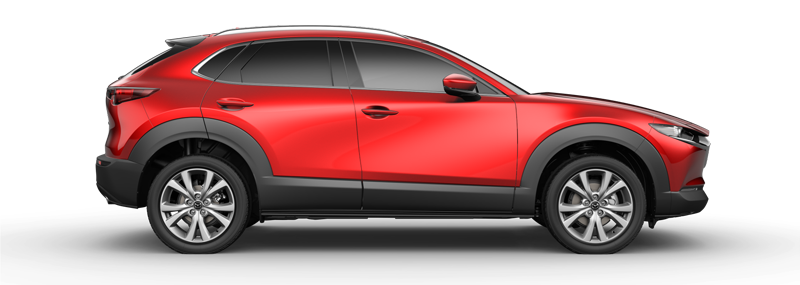 AWARD-CX30.png