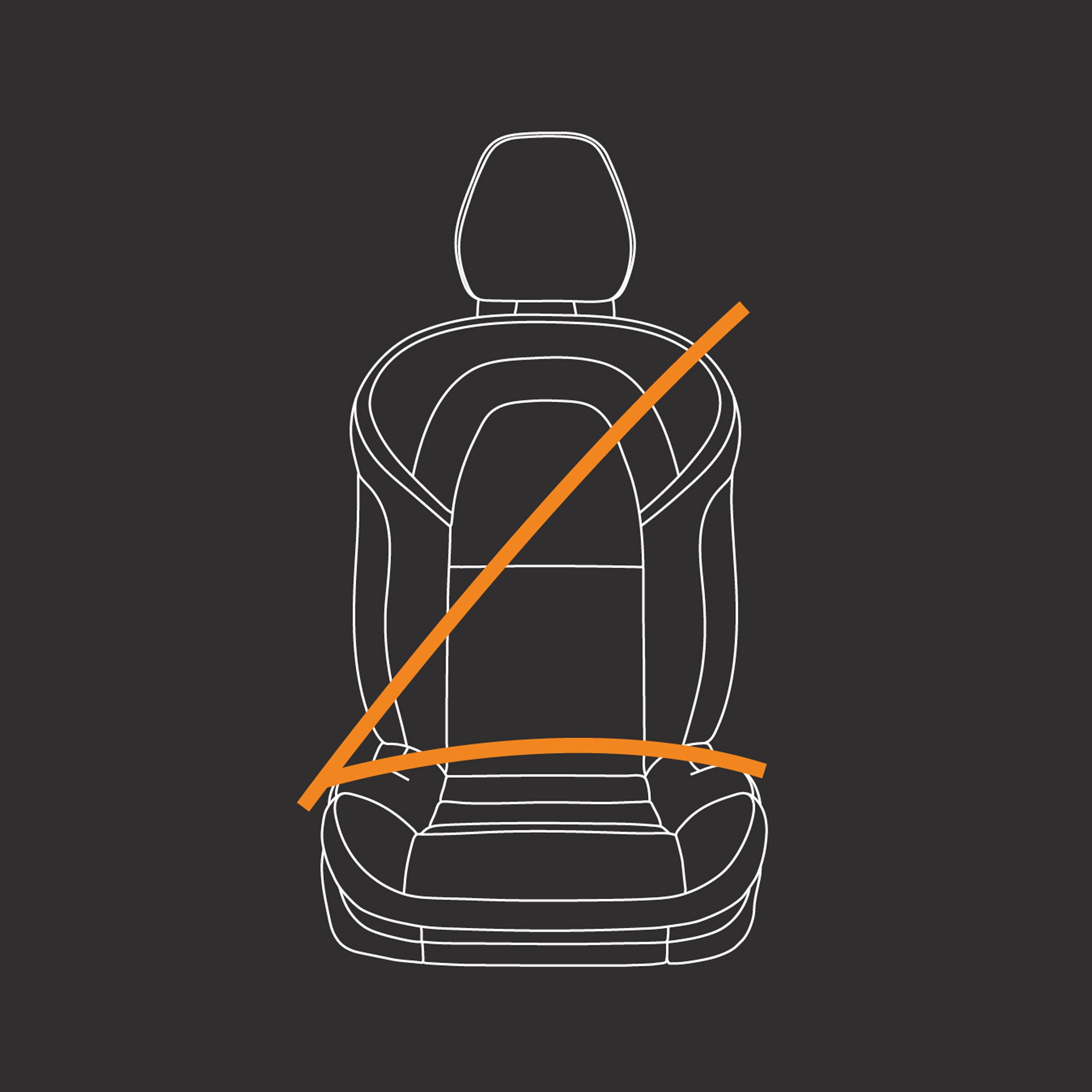 Proprietary Safety Belt