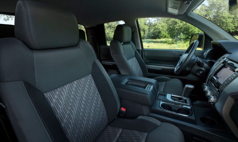 Tundra interior