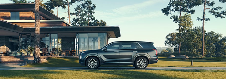 2020 Palisade