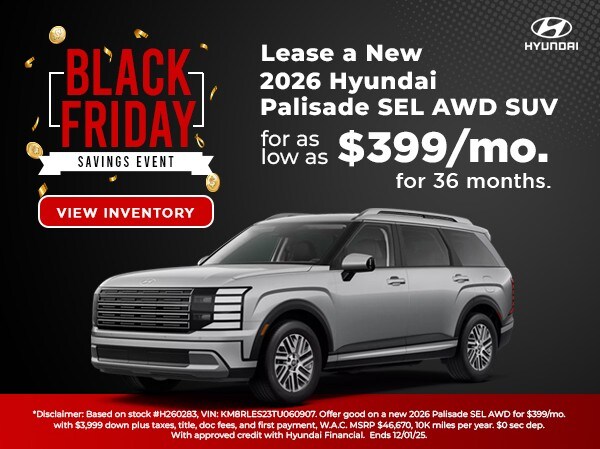 Black Friday Special 5