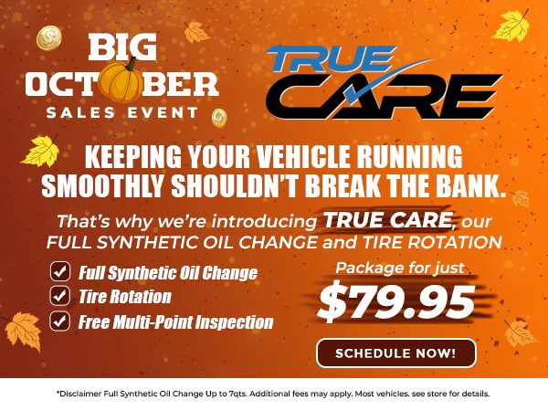 True Care Hyundai service special