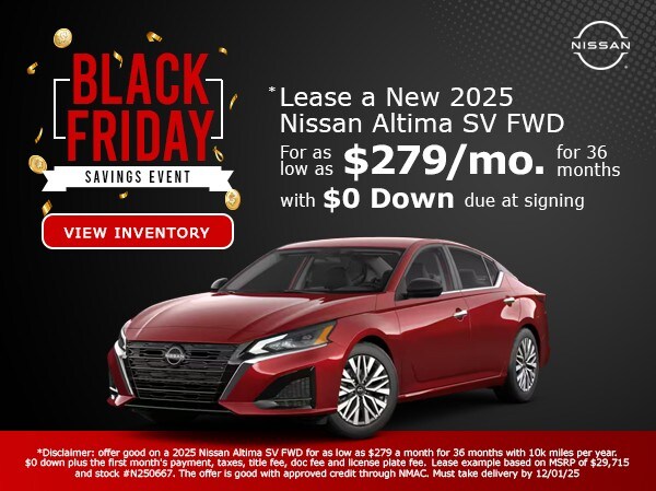 Black Friday Special 4