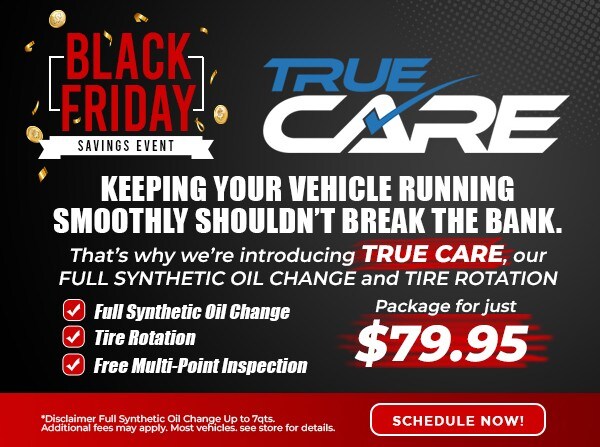 Black Friday Special 8