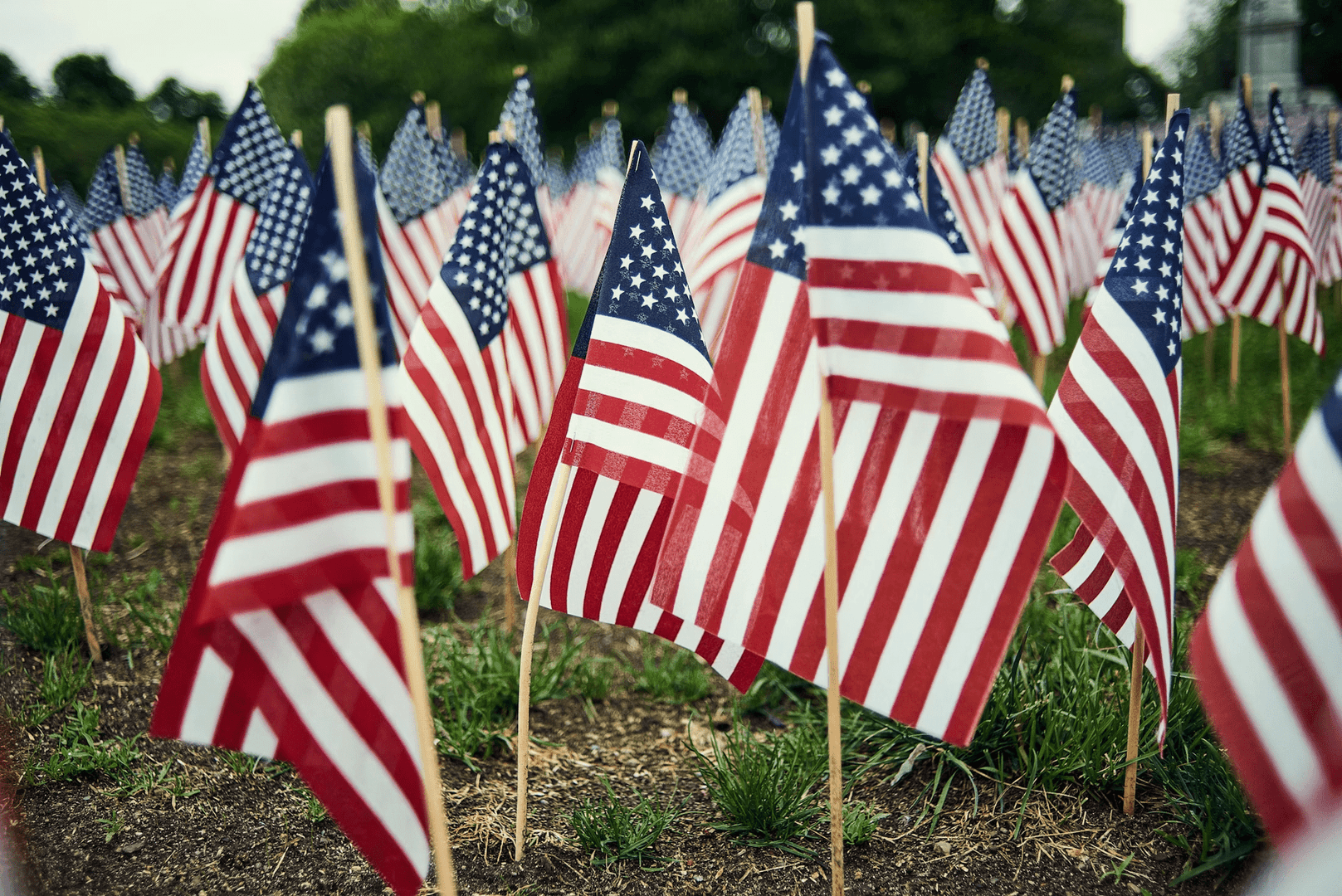 Flags in grass
