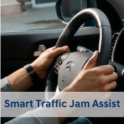 Smart Traffic Jam Assist