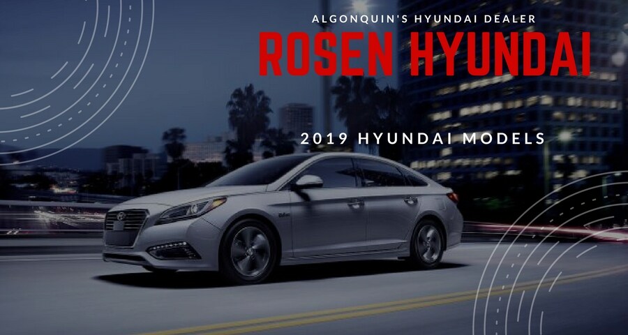 2019 Hyundai Models for Sale.jpg