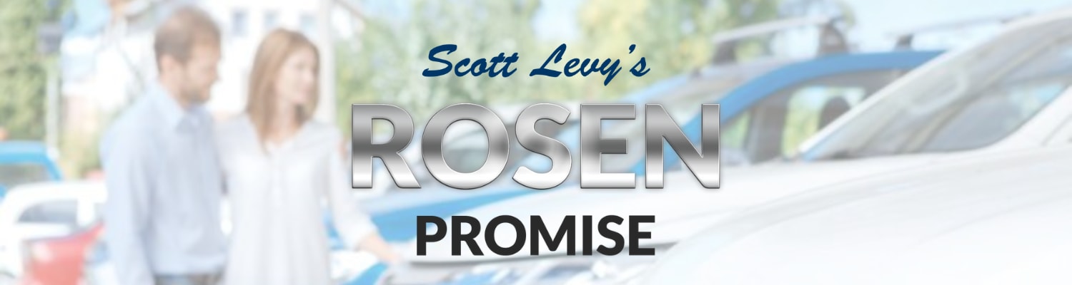Rosen Promise Variations (1500 × 400 px).png