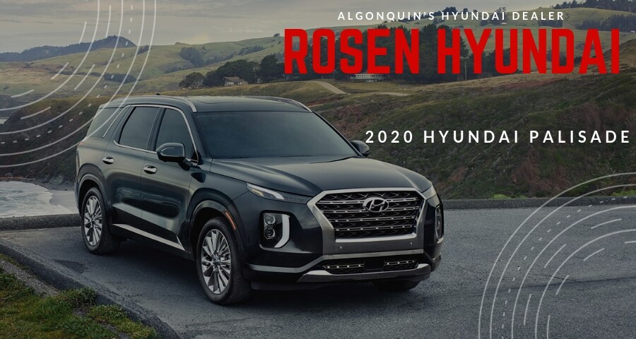 2020 Hyundai Palisade for Sale.jpg