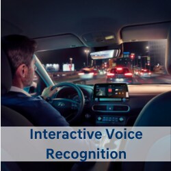 Interactive Voice Recognition