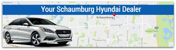 Schaumburg map.jpg