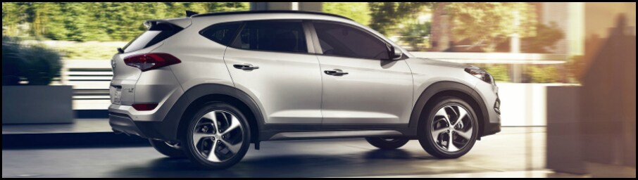 2017 Tucson.jpg