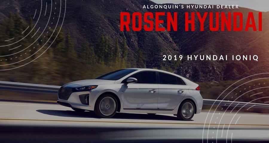 2019 Hyundai Ioniq Models Page.jpg