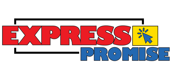Express Promise