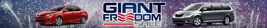 Giant Freedom Sale