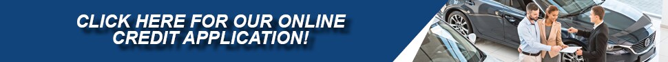 index banner.png