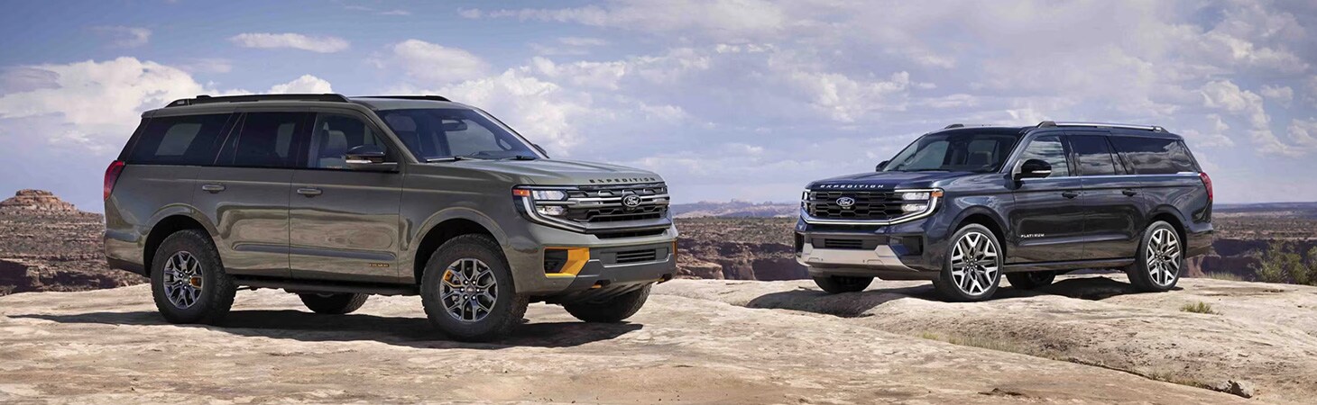 2025 Expedition Roswell Ford