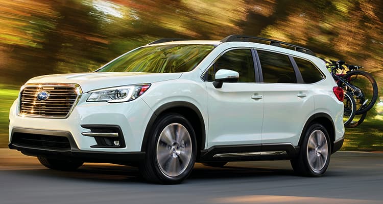 2019 Subaru Ascent driving with bicycles on the back 2019 Subaru Ascent driving with bicycles on the back