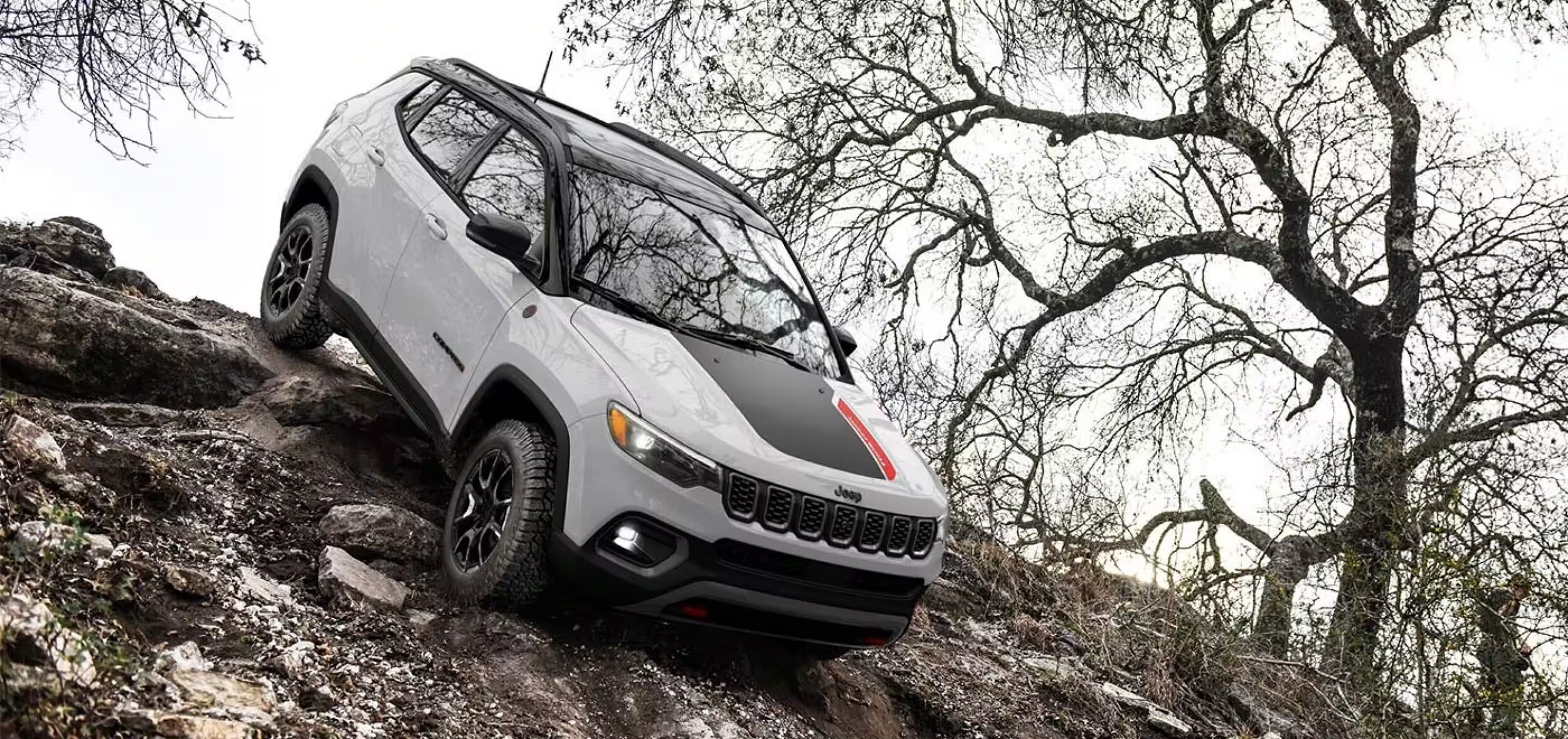 jeep%20compass%20capability.png