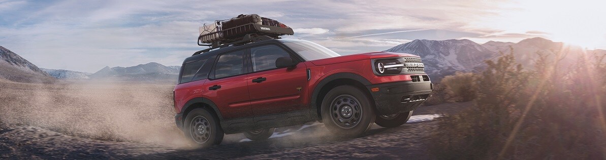 bronco banner 2020.jpg