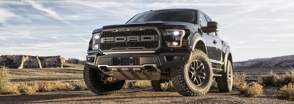 2018 Raptor Banner.jpg