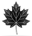 leaf.jpg