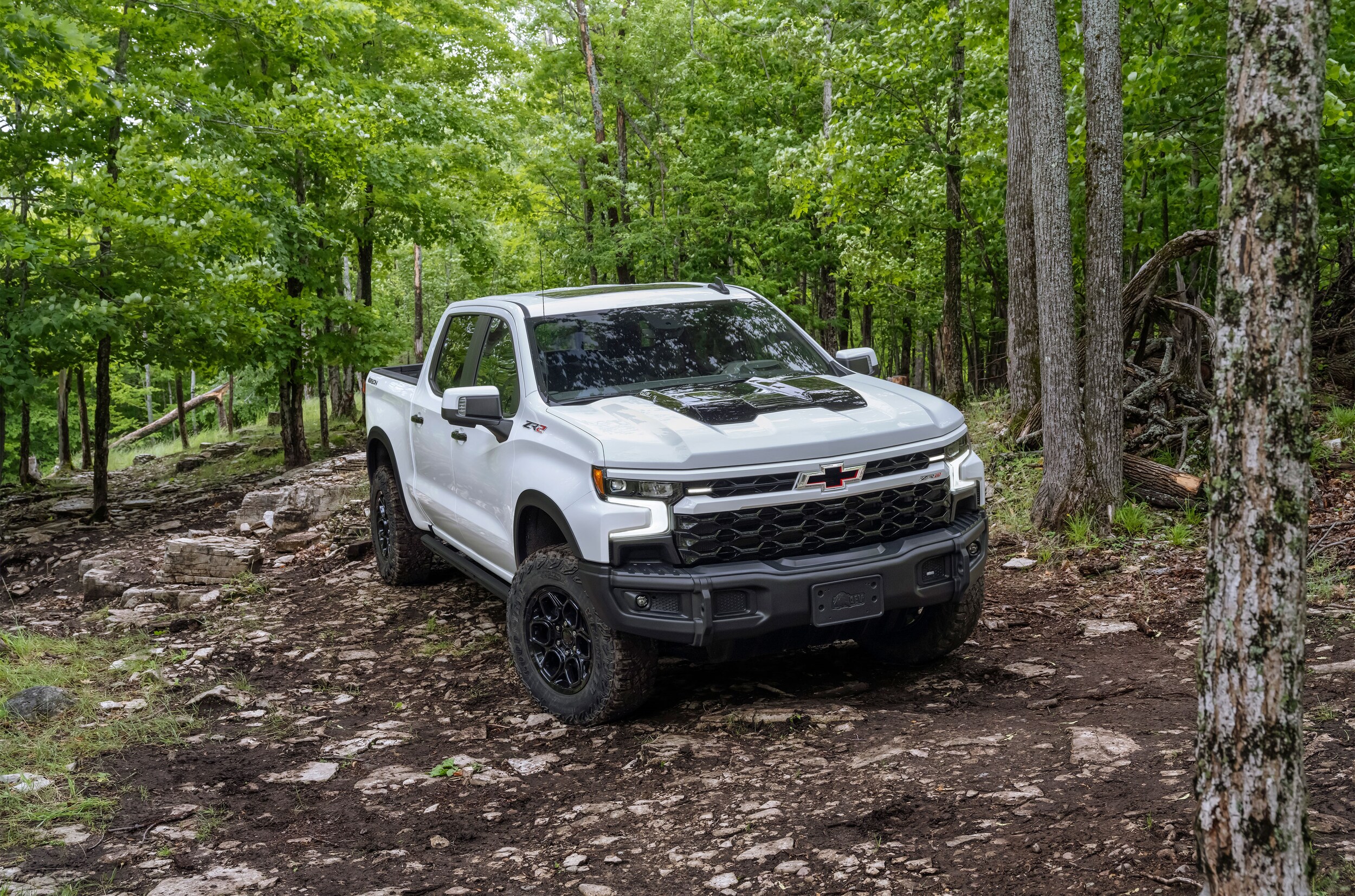 Silverado 1500 in forest