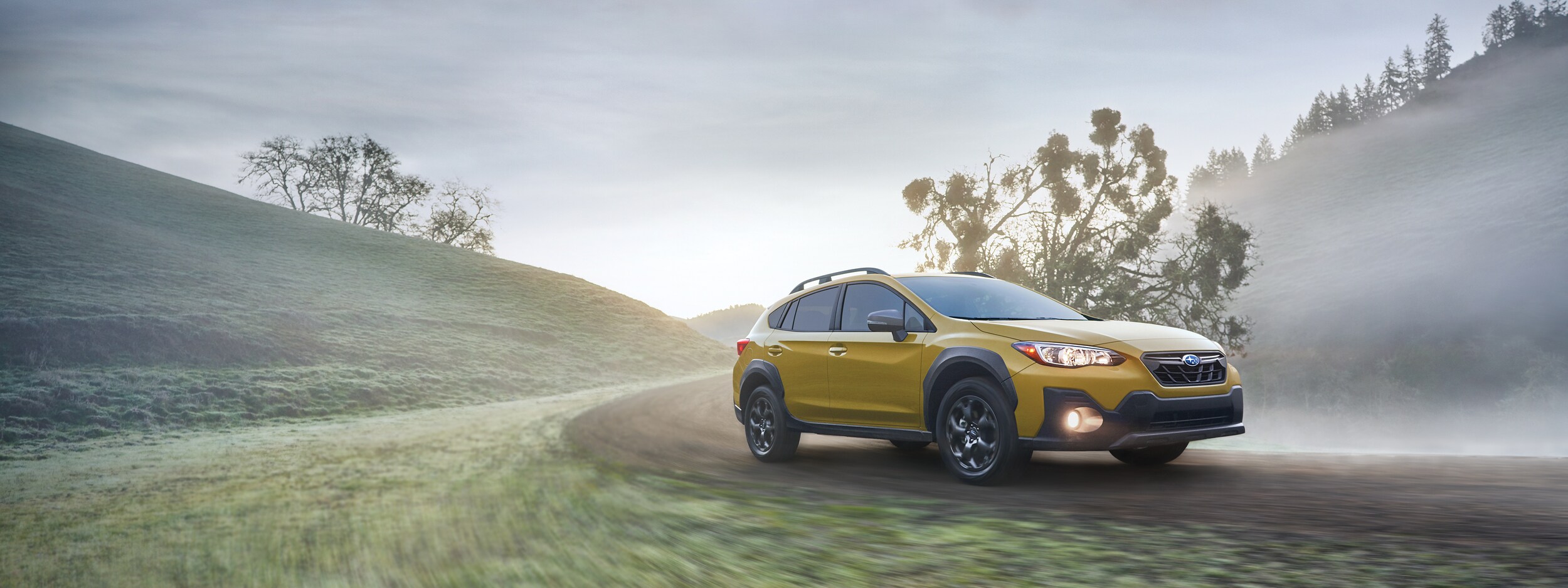 2021 Subaru Crosstrek (3).jpeg