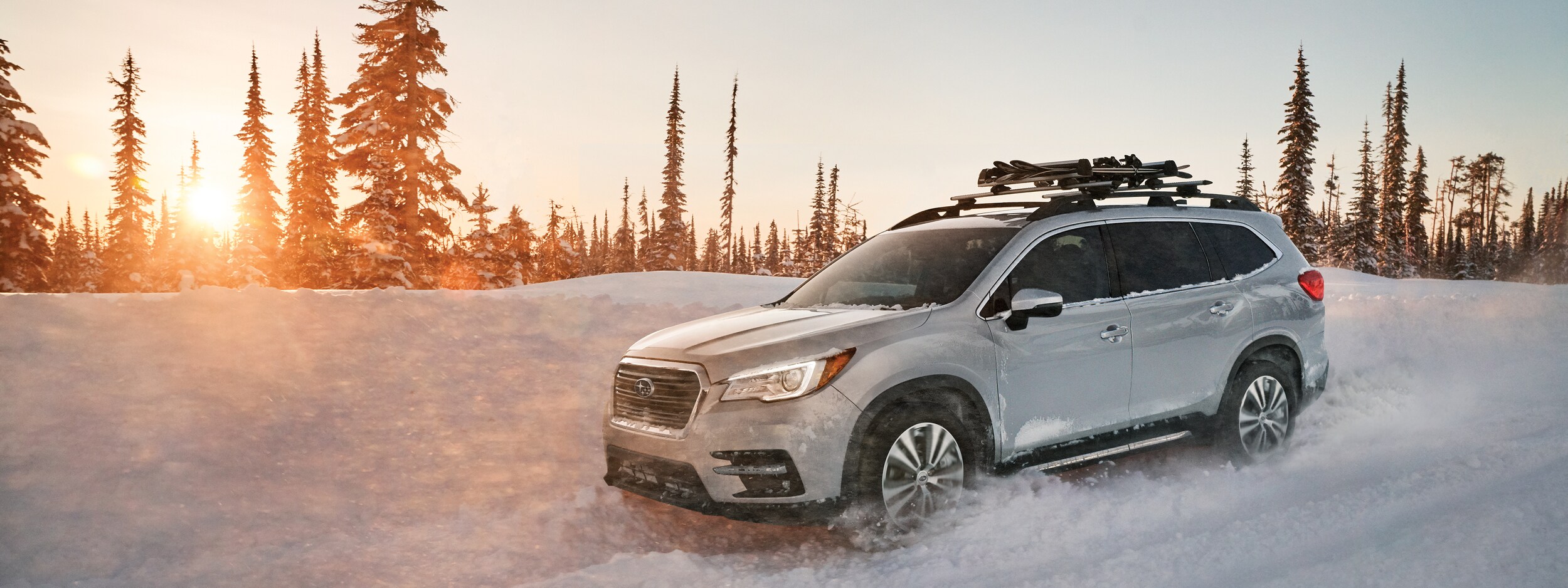 2019 Subaru Ascent (1).jpeg