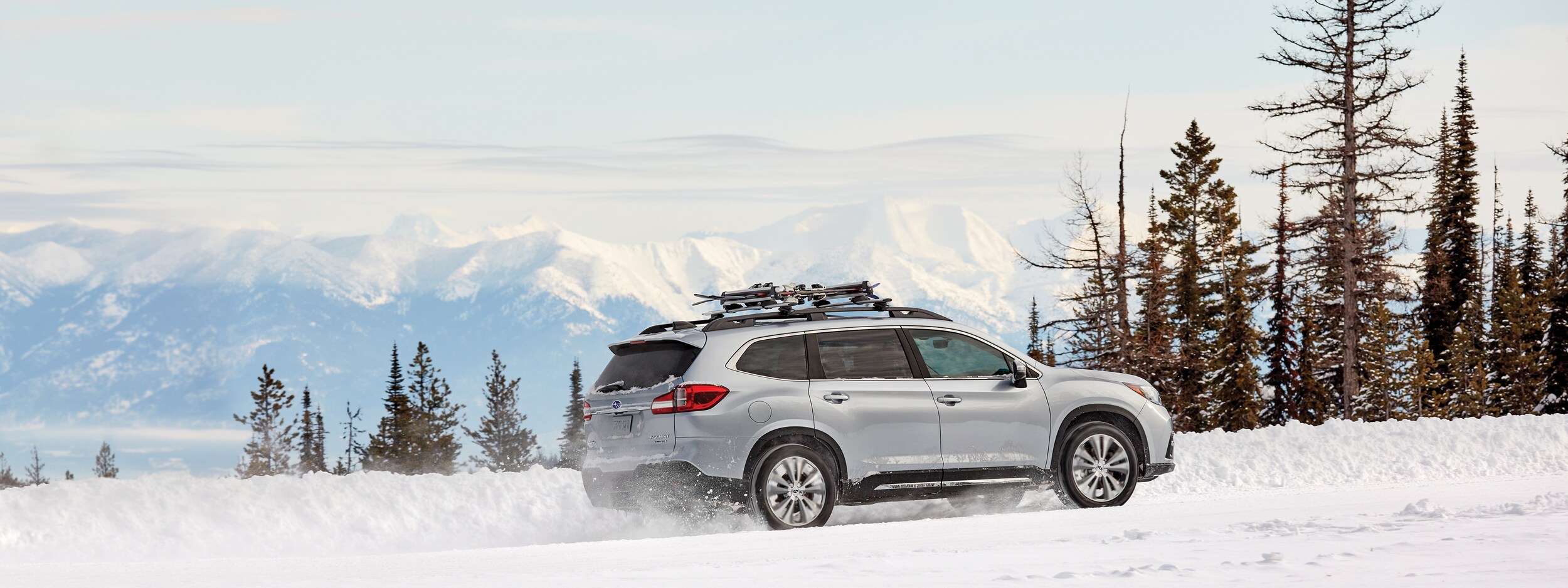 2019 Subaru Ascent (2).jpeg