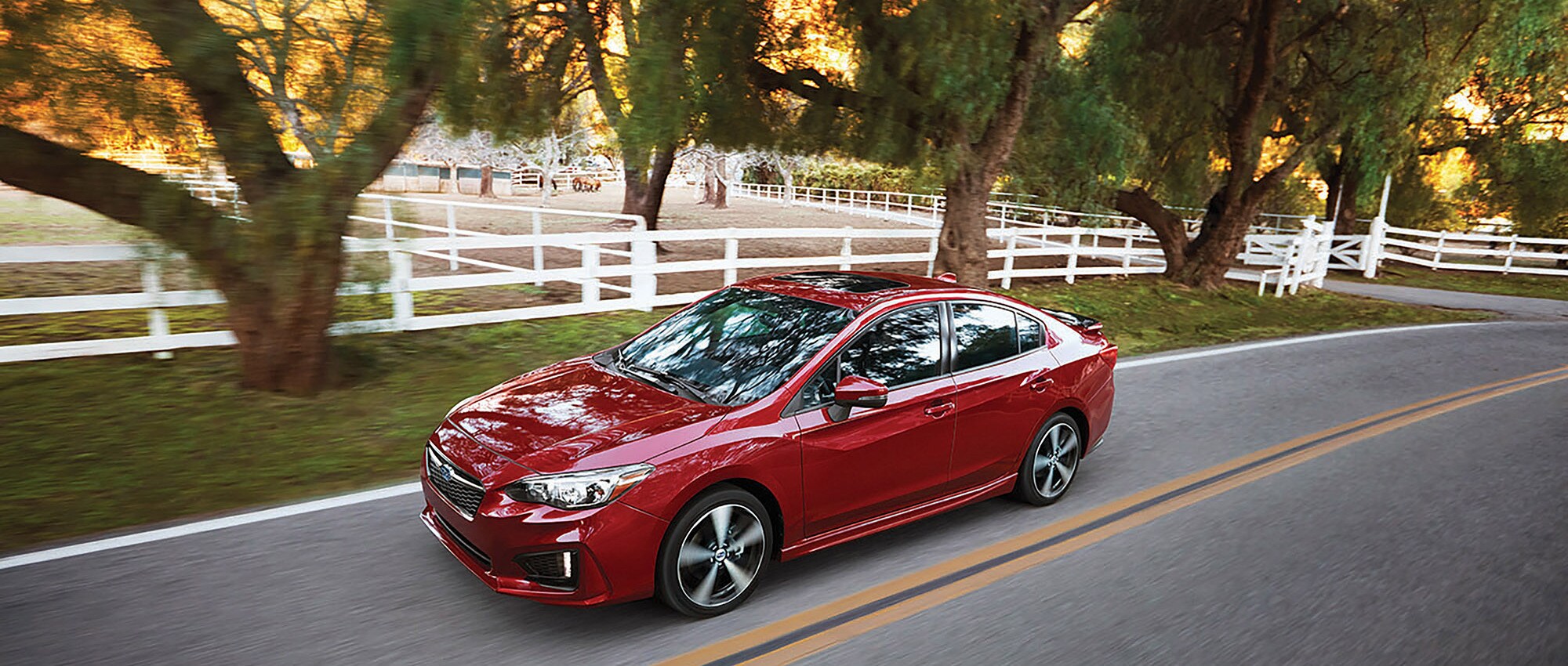 2019 Subaru Impreza (1).jpeg
