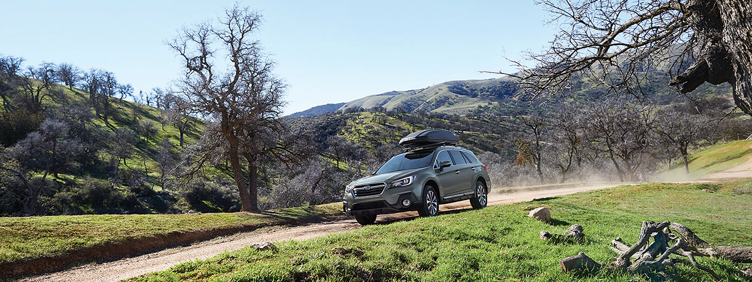 2019 Subaru Outback (1).jpeg