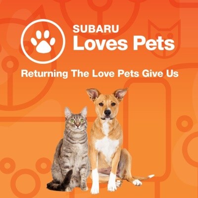 lovpets.jpg