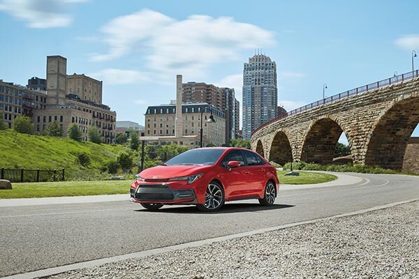 2019 Corolla