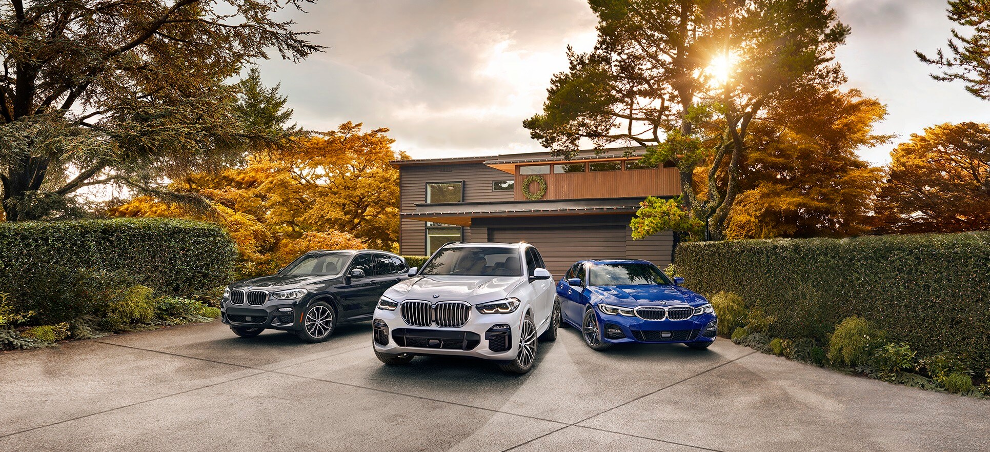BMW.jpg