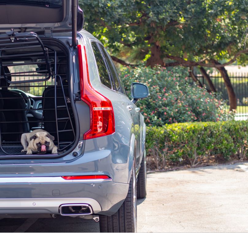 Volvo Dog Gate.JPG