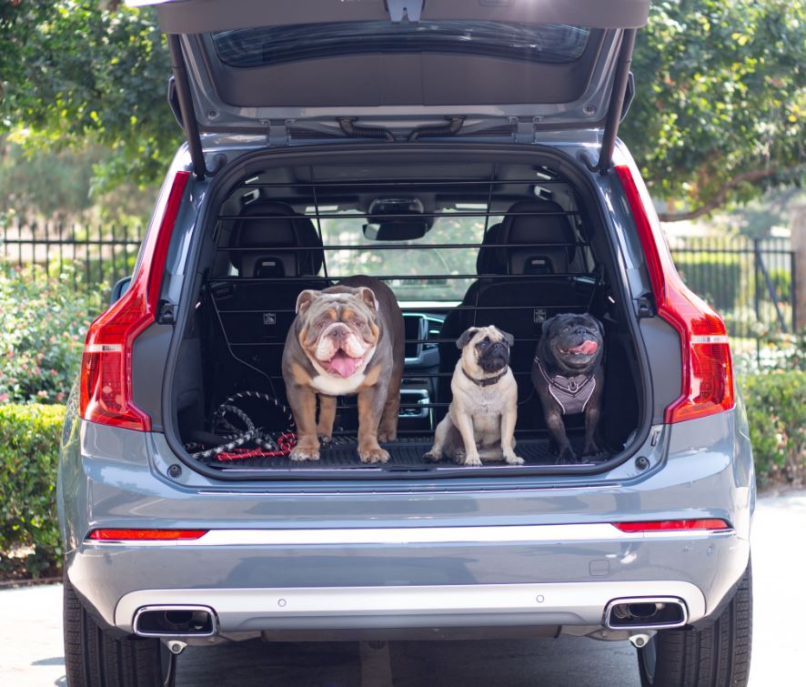 Volvo Dog Grille.JPG
