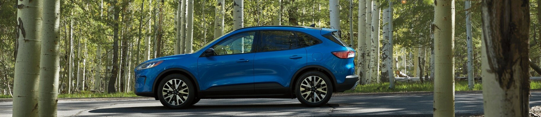 2022 Ford Escape 1.jpg